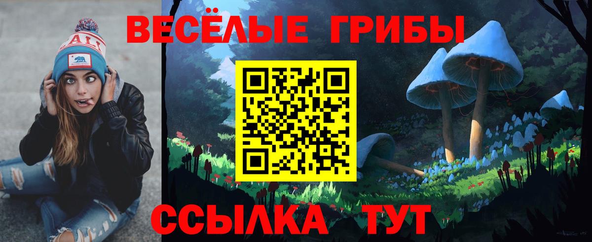 Тимашёвск  цены   Вход с VPN  Галлюциногенные грибы мицелий 