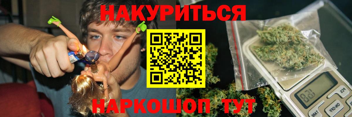 Бошки Шишки гибрид Тимашёвск